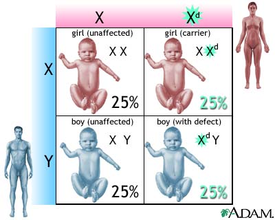 X-linked recessive genetic defects X-linked recessive genetic defects