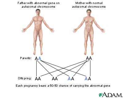 Autosomal dominant genes Autosomal dominant genes